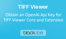 Black Ice TIFF Viewer Video Tutorial